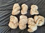 7 Bollen/Strengen Haakkatoen - Beige, Hobby en Vrije tijd, Breien en Haken, Ophalen of Verzenden, Nieuw, Breien of Haken, Wol of Garen