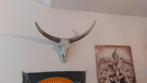 Decoratief Dierenbeeld - Stierenhoofd Bull skull Longhorn, Ophalen of Verzenden, Gebruikt, Kunststof, Dierenbeeld