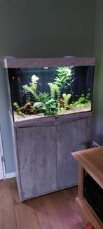 Aquarium, Ophalen, Nieuw, Gevuld zoetwateraquarium