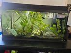 110 liter aquarium juwel met toebehoren, Dieren en Toebehoren, Ophalen, Gebruikt, Gevuld zoetwateraquarium