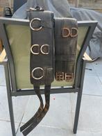 Longeersingel maat pony, Dieren en Toebehoren, Ophalen of Verzenden, Zo goed als nieuw, Overige soorten