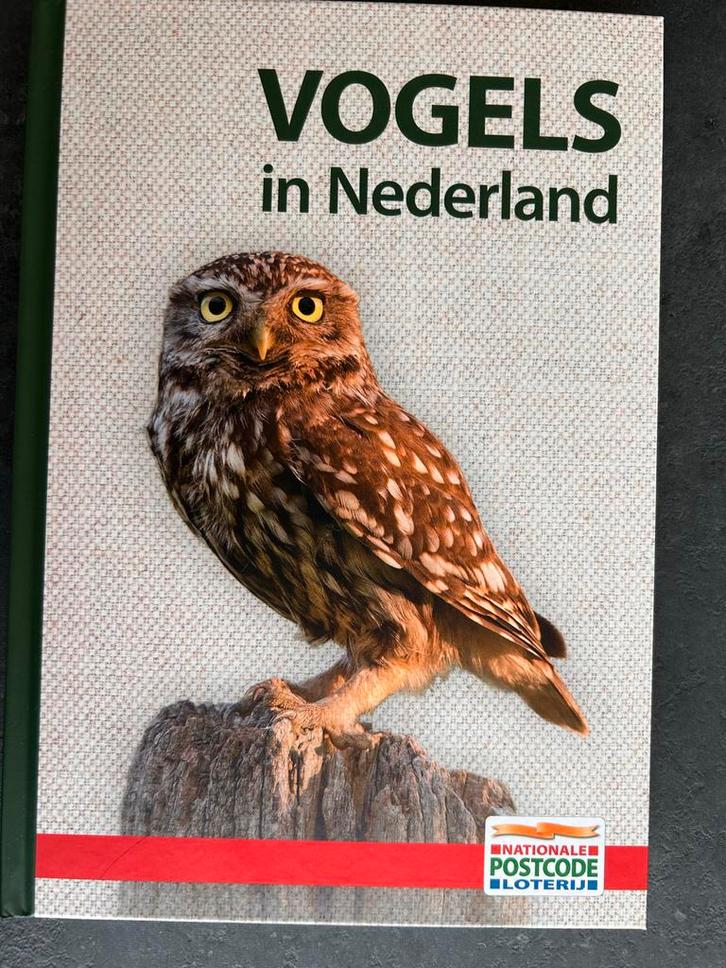 Vogels in Nederland - Natuurgids, Boeken, Natuur, Nieuw, Vogels, Ophalen of Verzenden