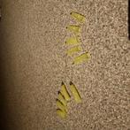 Heksen opzet nagels halloween, Ophalen of Verzenden, Gebruikt, Jongen of Meisje