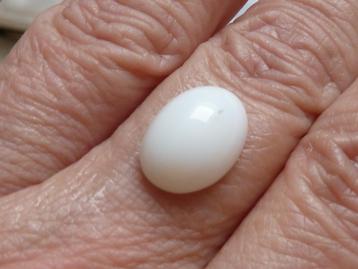 Witte opaal edelsteen, cabochon 15 x 10 mm, edelopaal, nieuw beschikbaar voor biedingen