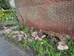 Zwerfkeien grote stenen tuin 30-70 cm, Tuin en Terras, Grind, Keien en Split, Ophalen, Zo goed als nieuw, Overige materialen
