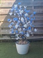 Kunst Bloesemboom Blauw/Wit in Pot, Ophalen, Nieuw, Binnen