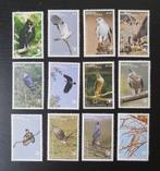 Tonga 2018 Vogels Michel 2206-2217 postfris, Verzenden, Postfris, Dier of Natuur