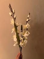 Action Mooie kunstbloemen - Decoratie voor binnen en buiten, Ophalen, Nieuw, Binnen