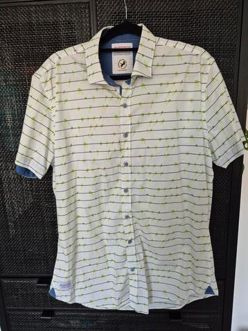 Blouse xl a fish named fred  beschikbaar voor biedingen