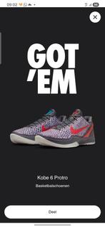 Nieuw Nike Kobe 6 Protro 3D eu 43 - us 9.5, Overige kleuren, Nike, Nieuw, Ophalen of Verzenden