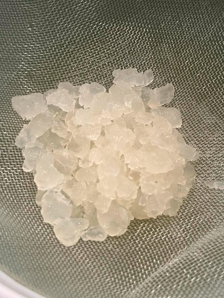 Waterkefir, Diversen, Levensmiddelen, Ophalen of Verzenden