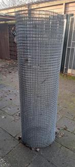 Zwaar gaas, Meerdere dieren, Dwergpapegaai of Agapornis