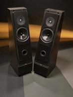 Thiel CS.5, Zo goed als nieuw, 120 watt of meer, Front, Rear of Stereo speakers, Ophalen