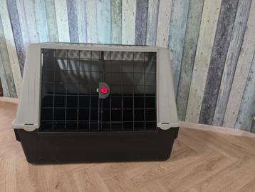  Grote Dieren Transportbox – 100x60x66 cm – Stevig & Ruim  beschikbaar voor biedingen