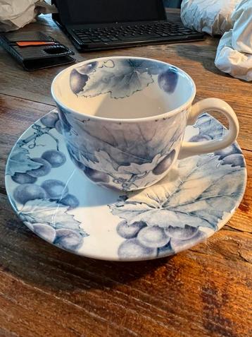 Barratts Vineyard of grapevine kop en schotels beschikbaar voor biedingen