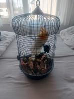 Zwarte vogelkooitje, Dieren en Toebehoren, Vogels | Hokken en Kooien, Ophalen, Zo goed als nieuw, Metaal, Vogelkooi