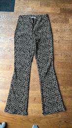 Flared broek Costes dames maat M girafprint, Kleding | Dames, Broeken en Pantalons, Maat 38/40 (M), Zwart, Ophalen of Verzenden