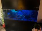 Zee aquarium, Ophalen, Zo goed als nieuw