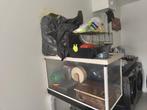 Hamster hok afhalen, Dieren en Toebehoren, Kooi, Hamster, 75 tot 110 cm, Ophalen