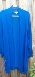 Blauw vest maat 50 van La- Lemon, Kleding | Dames, Grote Maten, Blauw, Trui of Vest, Ophalen of Verzenden, Zo goed als nieuw