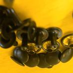 Platte kop spijkers Bruin!, Motoren, Ophalen of Verzenden, Motorman, Onbekend, Nederland