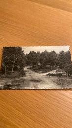 Norg, Ophalen of Verzenden, 1960 tot 1980, Gelopen, Drenthe