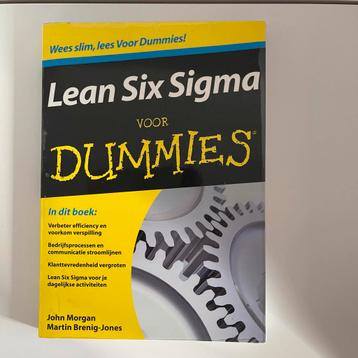 Lean Six Sigma voor Dummies - Zo goed als nieuw! beschikbaar voor biedingen
