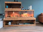 OSB terrarium 100/50/50 
En meerdere maten in huis, Dieren en Toebehoren, Reptielen en Amfibieën | Toebehoren, Ophalen, Zo goed als nieuw