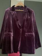 Paars/roze fluwelen pak C&A maat 48, Kleding | Dames, Jasjes, Kostuums en Pakken, Kostuum of Pak, Paars, Maat 46/48 (XL) of groter