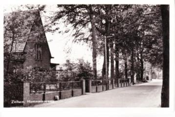 ZELHEM,- Hummeloseweg. Fotoglans. 11-08 beschikbaar voor biedingen
