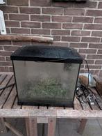 Goed werkend maar nog vies aquarium, Dieren en Toebehoren, Vissen | Aquaria en Toebehoren, Ophalen of Verzenden, Zo goed als nieuw