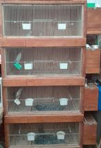 Te koop grote broedkooi, Dieren en Toebehoren, Ophalen, Gebruikt, Hout, Broedkooi of Kweekkooi