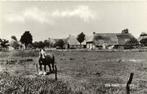 Een groet uit Grollo - dorpsgezicht - ongelopen, Ongelopen, Ophalen of Verzenden, 1920 tot 1940