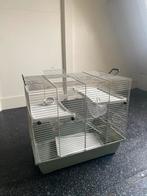Hamsterkooi, Dieren en Toebehoren, Minder dan 75 cm, Ophalen, Minder dan 60 cm, Rat