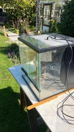 Terrarium, Dieren en Toebehoren, Reptielen en Amfibieën | Toebehoren, Ophalen, Gebruikt, Terrarium of Paludarium