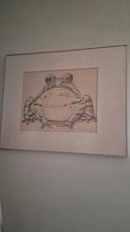 Schilderij met kikker te koop aangeboden., Ophalen of Verzenden