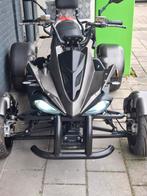 Quad elekt spy racing, Motoren