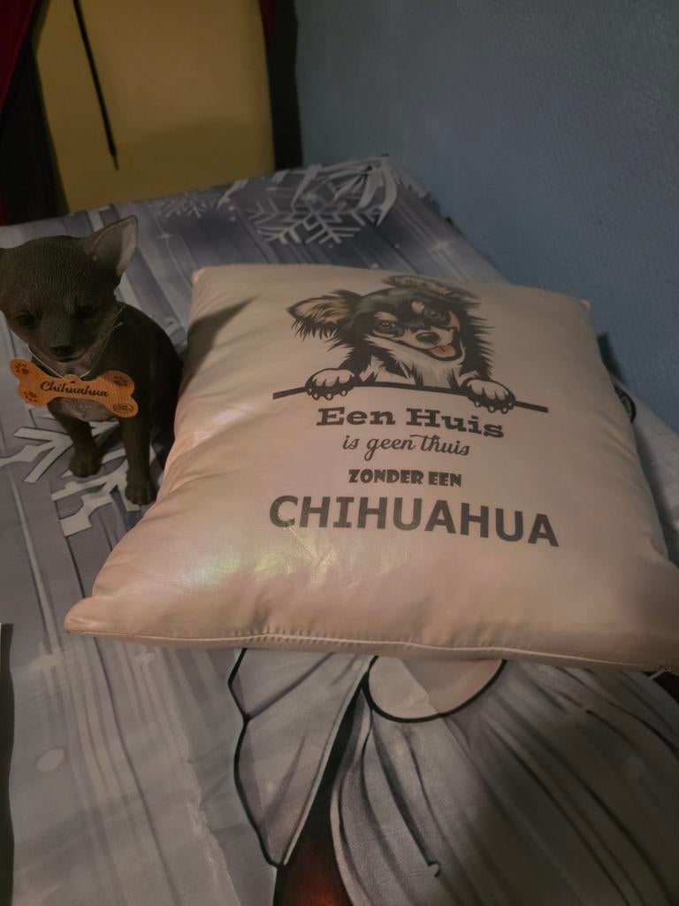Chihuahua kussen en beeldje  vandaag ophalen, Ophalen, Eenpersoons, Kussen