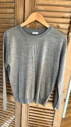 Filippa K dun wollen truitje grijs M, Ophalen of Verzenden, Zo goed als nieuw, Maat 38/40 (M), Grijs