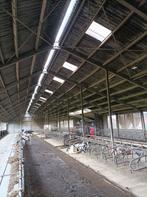 R ligboxen stalinrichting, Dieren en Toebehoren, Stalling en Weidegang