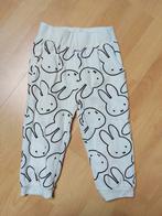 Nijntje broek maat 86, Broekje, Jongetje of Meisje, Nijntje, Ophalen of Verzenden