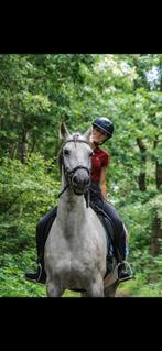 Verzorger gezocht 16+, Diensten en Vakmensen, Dieren | Overige | Verzorging, Oppas en Les