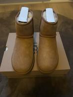 Nieuwe Uggs Mini II - Maat 39, Kleding | Dames, Schoenen, Ophalen, Nieuw, Bruin, Lage of Enkellaarzen