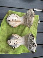 Gietijzer, Ophalen of Verzenden