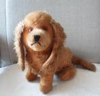 Langharige tekkel.  Jaren '50. Steiff?, Ophalen of Verzenden, Gebruikt