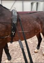 Longeersingel leer, Ophalen, Zo goed als nieuw, Overige soorten