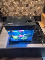 Aquarium te koop helemaal compleet, Ophalen, Zo goed als nieuw, Leeg aquarium