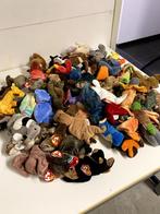 Veel Ty beanie baby knuffels - hele doos vol, Ophalen, Zo goed als nieuw, Overige typen