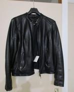Damesjas (nieuw), Kleding | Dames, Ophalen of Verzenden, Nieuw, Maat 42/44 (L), Zwart