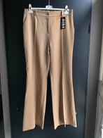 Nieuwe pantalon biba xxl beige, Beige, Maat 46/48 (XL) of groter, Nieuw, Ophalen of Verzenden